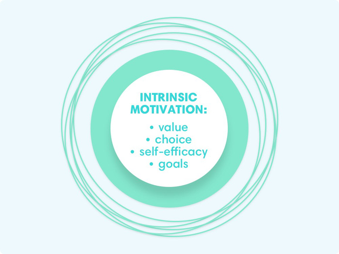 intrinsic motivation